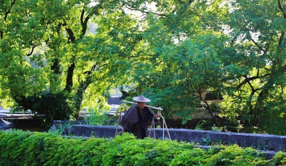 你怎么看待影院背诗现象？-中国领先的问答类网站