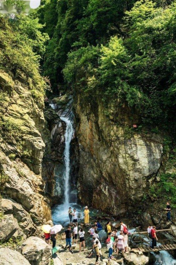 逃离水虎鱼湖