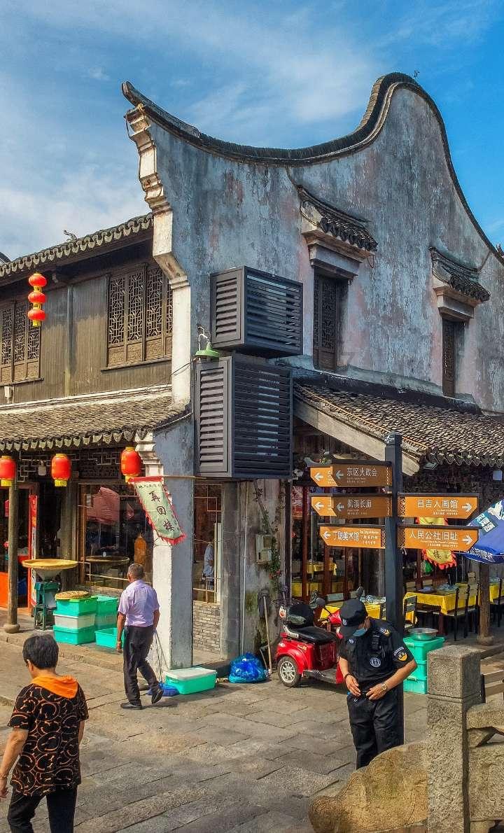 僵尸顶顶乐